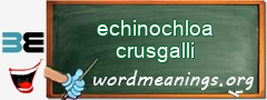 WordMeaning blackboard for echinochloa crusgalli